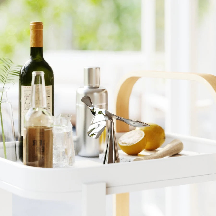 Tipsy Balanced Bottle Opener